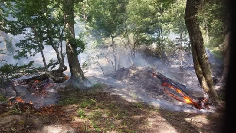 Primer fogón mal apagado de la temporada casi desata un incendio forestal en Tolhuin