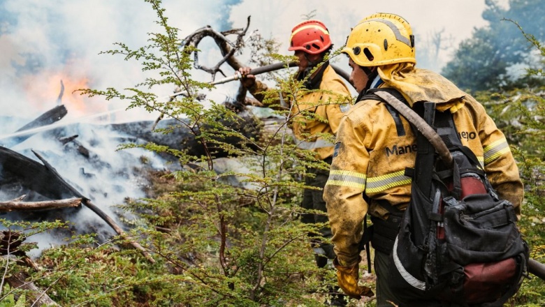 Estado de situación del incendio en la Reserva Corazón de la Isla