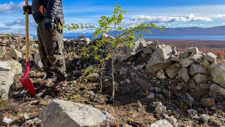 Se alcanzó un 72% de supervivencia de renovales de lenga en la reforestación en la ex cantera del cerro Jeujepén