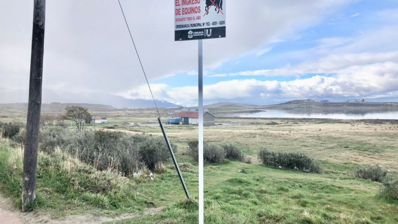 Colocaron carteles que prohiben la presencia de equinos sobre la avenida Yrigoyen