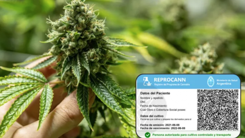 AFUERA!: Cancelarán todos los permisos de Reprocann