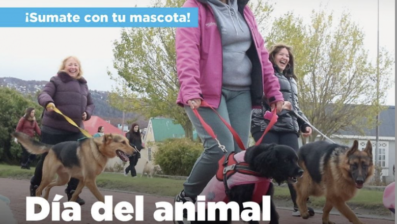 Se llevará una jornada especial en el Paseo de las Rosas por el Día del Animal