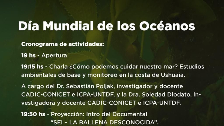 La secretaría de Cultura y Educación acompañará las actividades por el "Día mundial de los océanos"