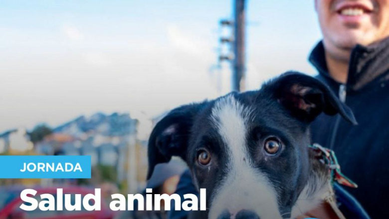 Zoonosis realizará una jornada de salud animal en el Paseo de Las Rosas