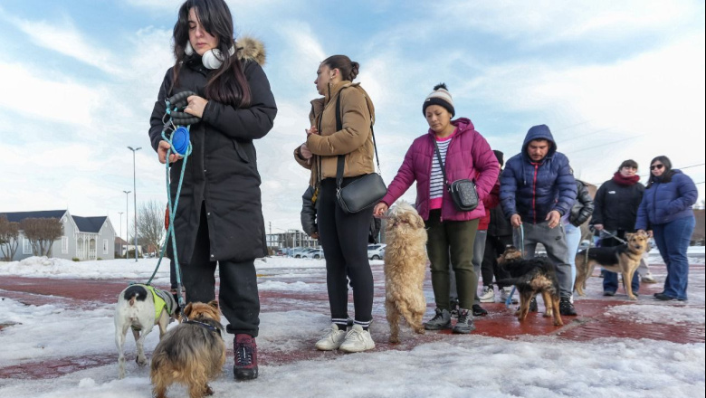 Más de 100 personas participaron de la jornada de salud animal en el Paseo de Las Rosas