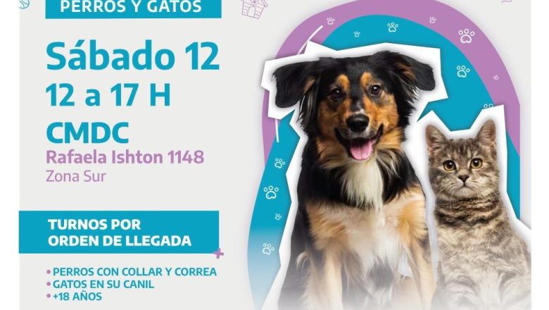 Nueva jornada de vacunación antirrábica en Río Grande