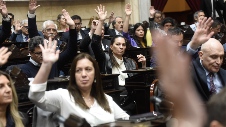 Diputados  votaron y frenaron el aumento a los jubilados:  el veto de Milei sigue firme