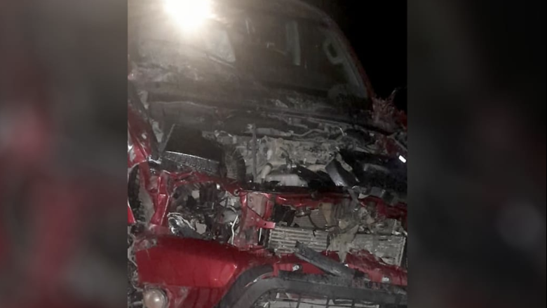 Una camioneta chocó contra una vaca en la Ruta 3 y una mujer fue hospitalizada en Tolhuin