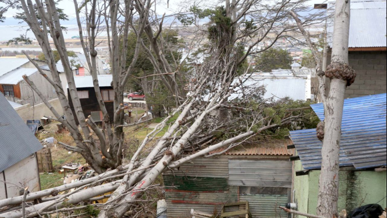 La municipalidad de Ushuaia continúa con las tareas de limpieza tras el fuerte temporal de viento