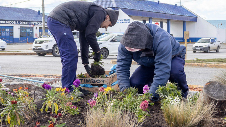 La próxima semana, se realizará la colocación de plantines en Río Grande