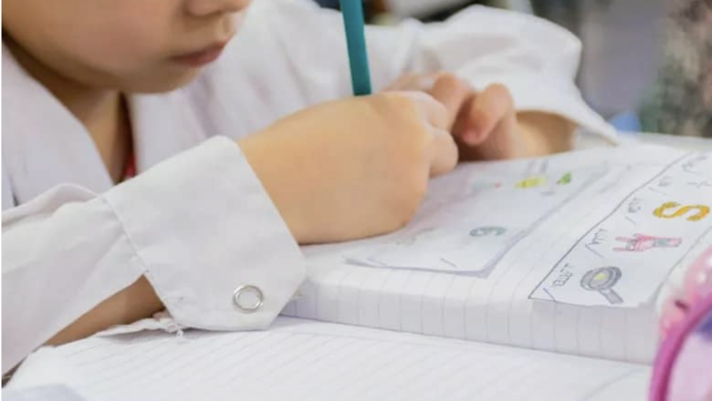 El ciclo lectivo en Tierra del Fuego finalizará el 19 de diciembre