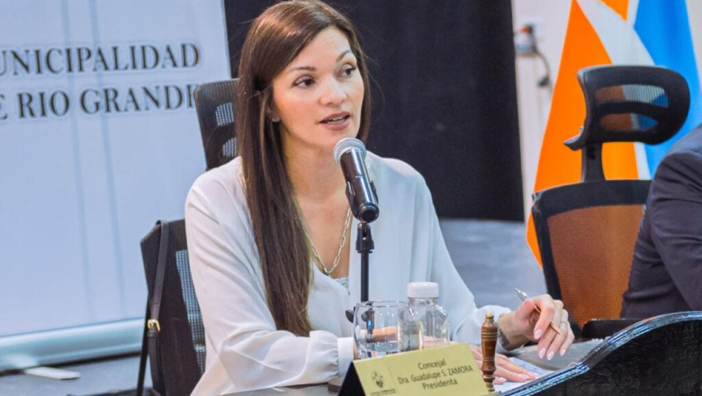 Zamora habría sugerido que el juez Ernesto Löffler respondería a intereses partidarios del MPF