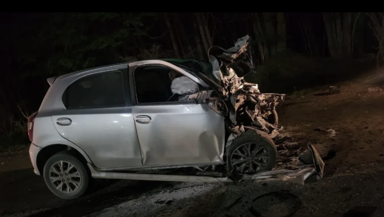 Tragedia en la Ruta 3: una mujer murió tras un violento choque con vacunos en la ruta 