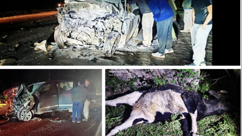 La Mujer que falleció en el choque por una animal suelto vivía en Almanza, su esposo e hijos la esperaban esa noche 