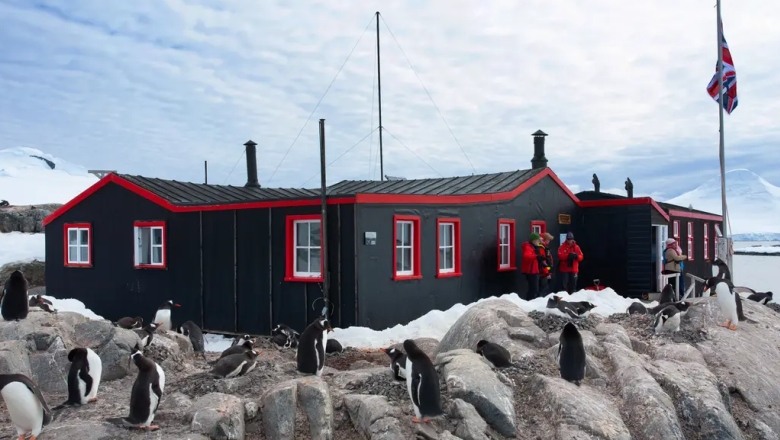 Turismo en la Antártida: Cómo la Argentina pasó de ser pionera a quedar relegada por Gran Bretaña y Chile