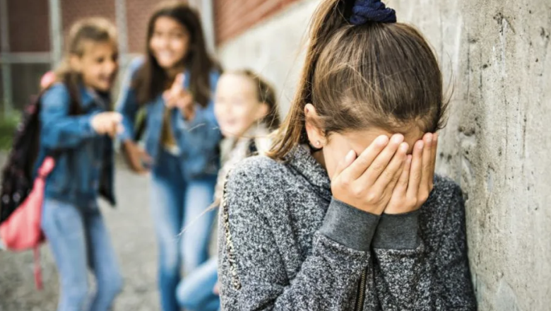 Mendoza: crean una ley que multa a los padres de alumnos que ejerzan bullying 