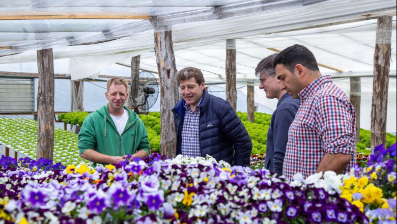 “Son un ejemplo de ingenio y trabajo”, afirmó Melella tras visitar el emprendimiento Verdenova en Tolhuin