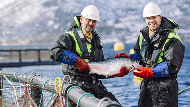 Los 5 países con modelos exitosos de salmonicultura que funcionan sin dañar el ambiente
