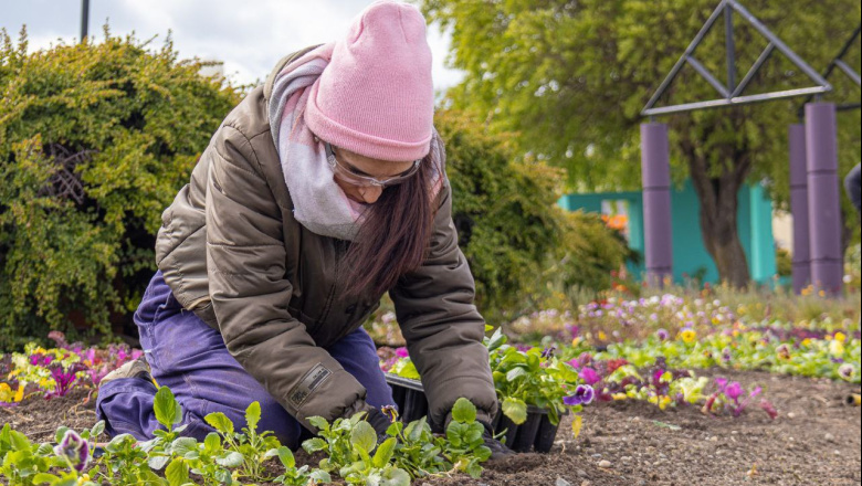 Continúan las tareas de embellecimiento en la ciudad