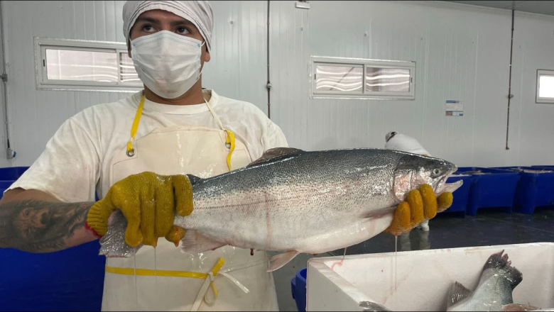 Fuerte respaldo de la Cámara de Comercio al proyecto de acuicultura en la Provincia