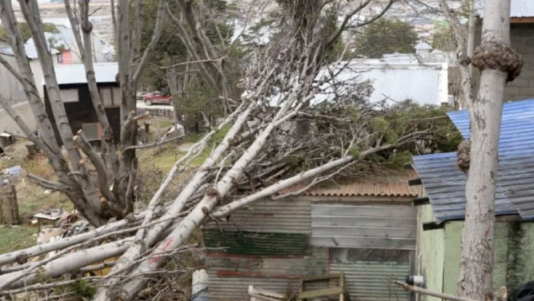 Alerta amarilla por vientos intensos con ráfagas de hasta 115 kilómetros por hora. 