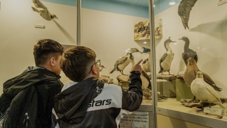 El Museo del Fin del Mundo se suma a las actividades de verano