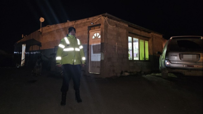 Indignación en margen sur: balearon a dos perros, uno murió 