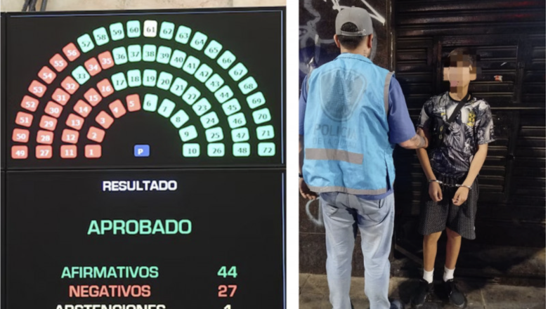 Ahora los menores de 14 años irán a la cárcel si cometen delitos: el Senado aprobó la baja de la edad de imputabilidad