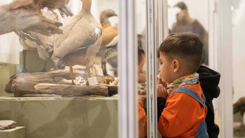 Inscripción abiertas en el Museo del Fin del Mundo para instituciones escolares