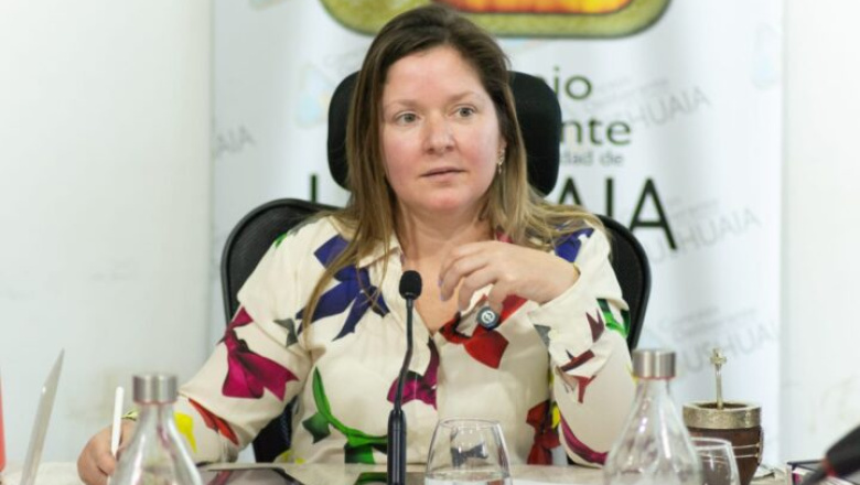 Fuerte polémica en Ushuaia por la tarifaria: advierten aumentos que impactarán en el bolsillo de los vecinos