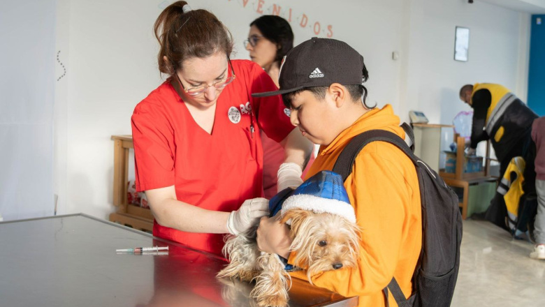 RGA Mascotera: Nueva jornada de vacunación antirrábica