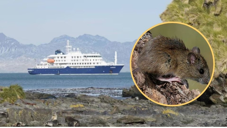 Llevan tranquilidad y aseguran que no hay casos de Hantavirus en TDF 