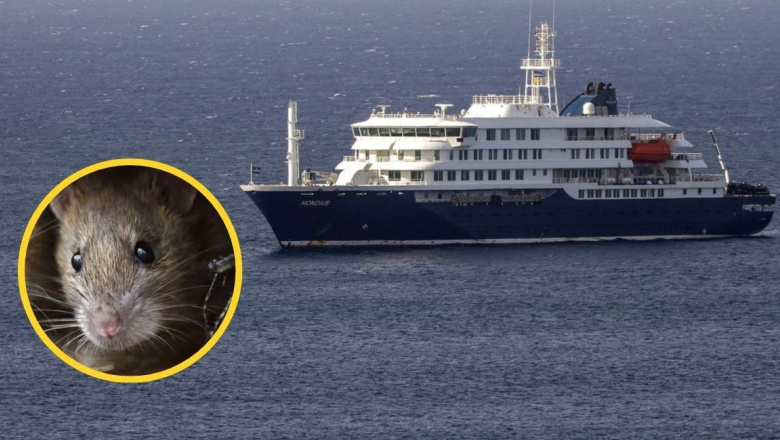 La pareja fallecida del crucero llegó a Ushuaia para embarcar, antes recorrió durante meses zonas con hantavirus