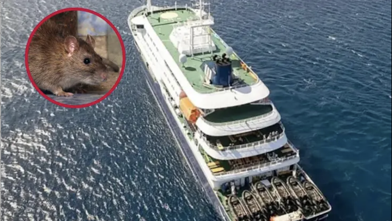 Hantavirus en Crucero: “la posibilidad de contagio en Ushuaia es prácticamente nula”