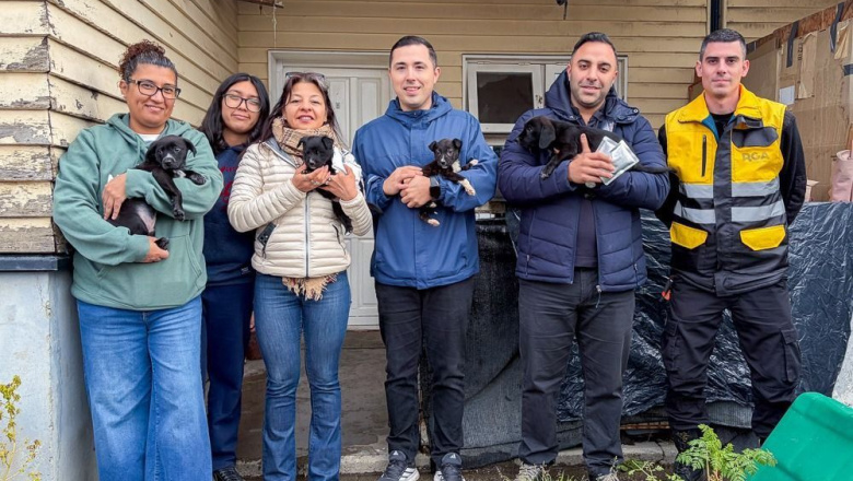 El Municipio entregó alimentos a protectoras de la ciudad