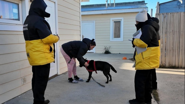 Despliegue territorial de servicios veterinarios en Zona Sur y B° Malvinas Argentinas
