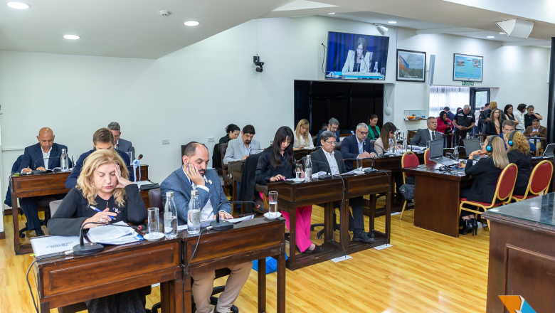 Viernes caliente en la Legislatura: oposición buscaría insistir con leyes vetadas por Melella