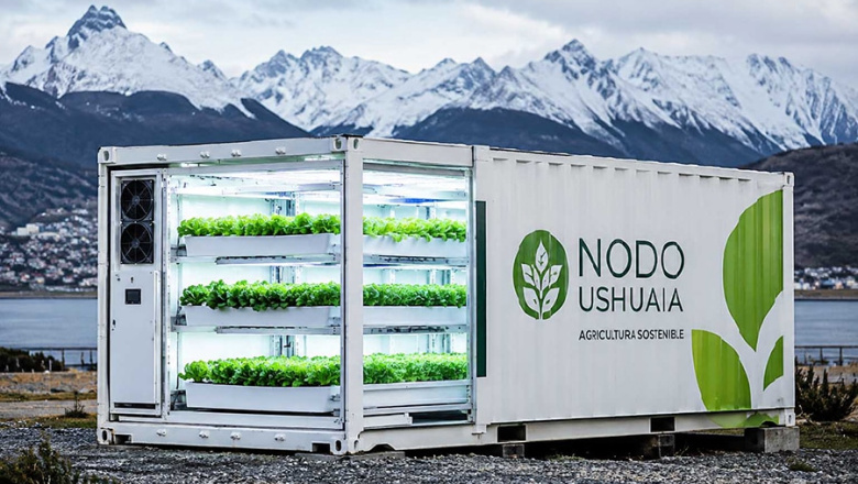 Buscan producir 24 mil verduras por mes usando Hidroponia del alta tecnología  en Ushuaia