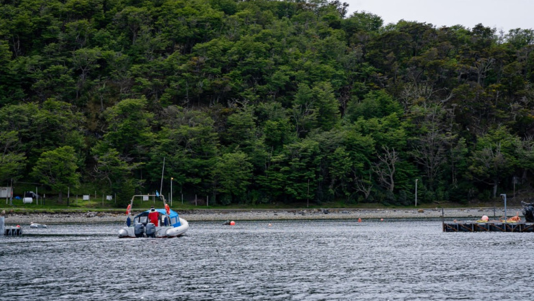 Se abren las inscripciones para las jornadas de capacitación “Zona Especial Canal Beagle"