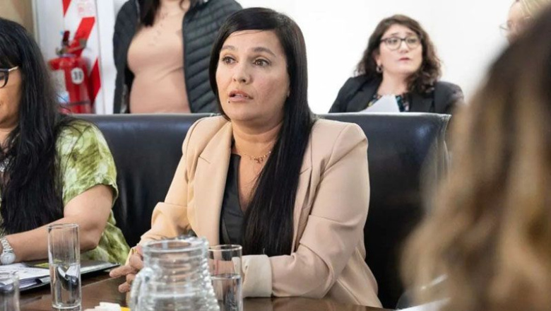 La Justicia ordenó que la ex presidenta de OSEF pague de su bolsillo una multa de $9 millones