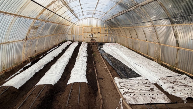 Río Grande avanza en la puesta en marcha de la chacra agroexperimental “Germán Asencio”