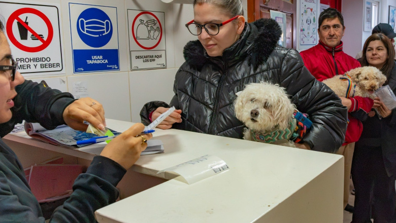 RGA Mascotera: El Municipio continúa promoviendo el cuidado responsable y el bienestar animal