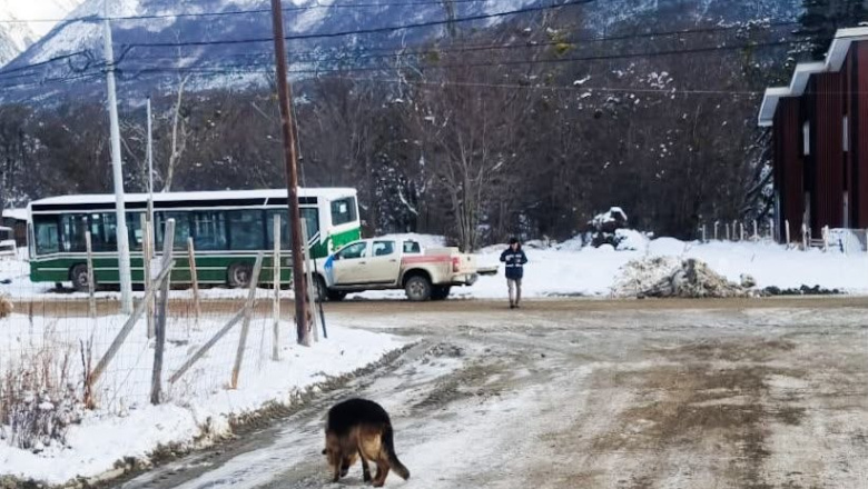 20 Multas por infracción a la normativa sobre tenencia responsable y dos canes capturados