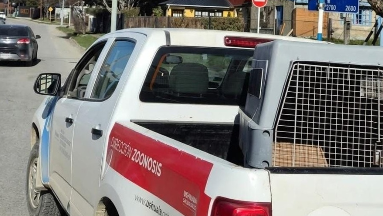 Se labraron 28 actas por infracciones a la normativa sobre tenencia responsable