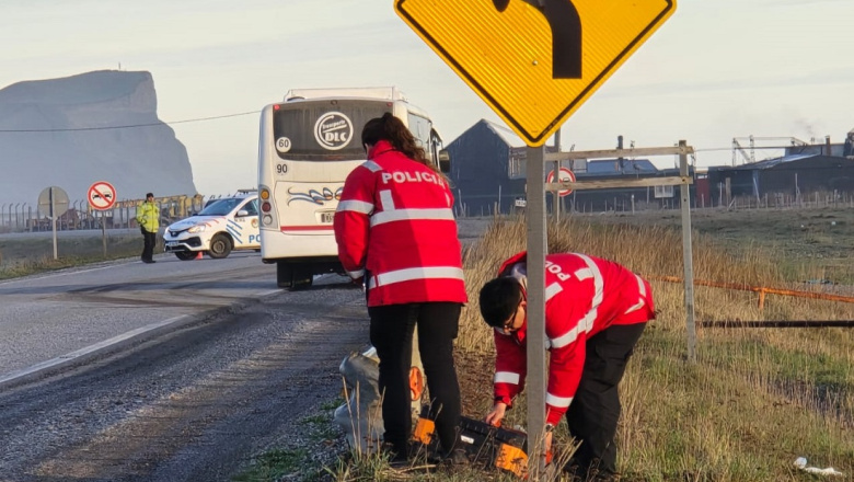 Trágico accidente: un colectivo atropelló a un peatón en la ruta 3, falleció en el lugar