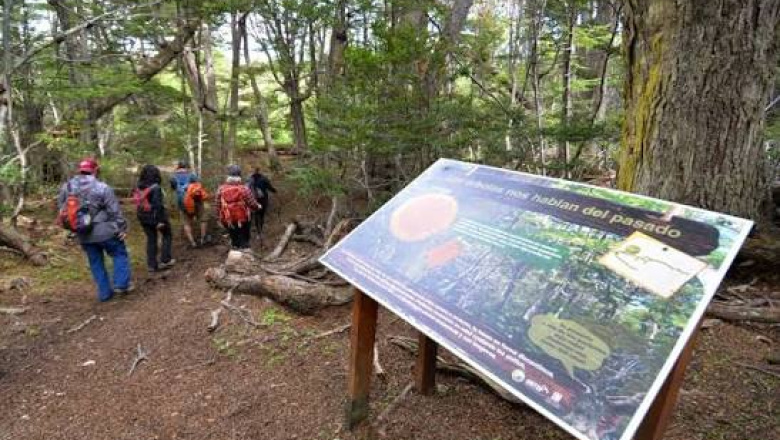 Parque Nacional Tierra del Fuego: avanza la preparacion de senderos para la nueva temporada 