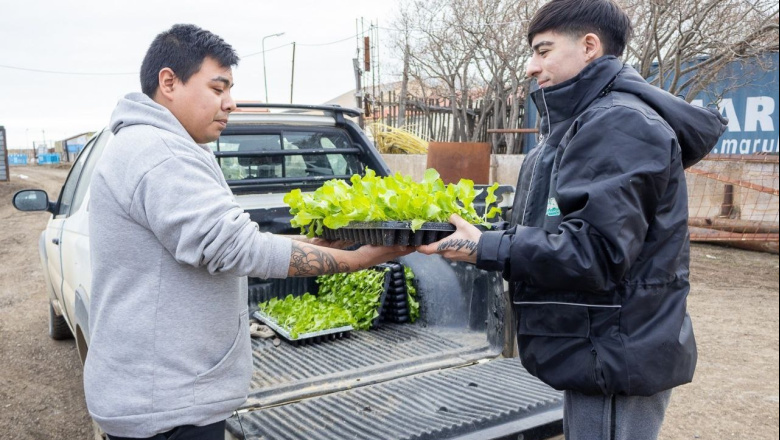 Soberanía Alimentaria en Casa:  inscripciones abiertas para la entrega de plantines