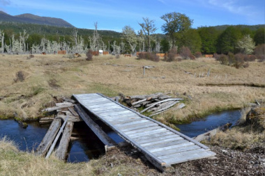 Concretan nuevas acciones de restauración en la reserva “Corazón de la Isla”