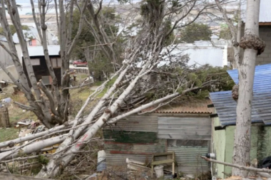 Alerta por viento para el lunes en Ushuaia 