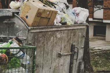 Sin colectivos, recoletores de basura y actividades Municipales por el Paro 